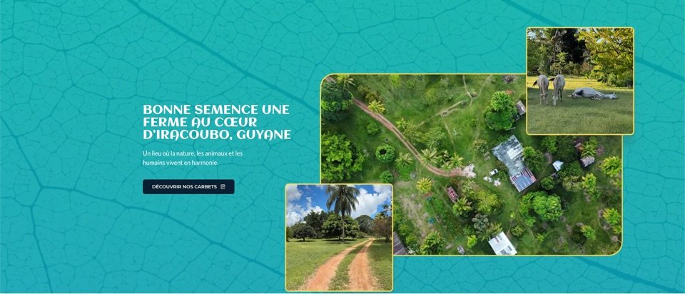 Aperçu du site Bonne Semence